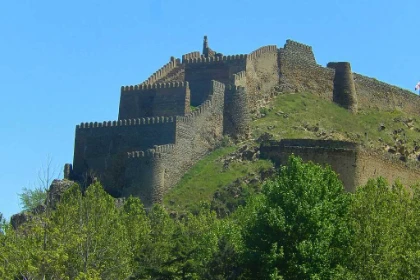 Gori