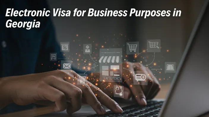 Electronic Visa for Business Purposes in Georgia - Essential Documents for Application